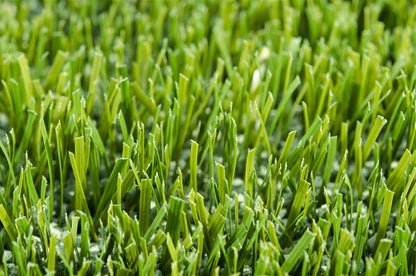Grass 110 Grün
