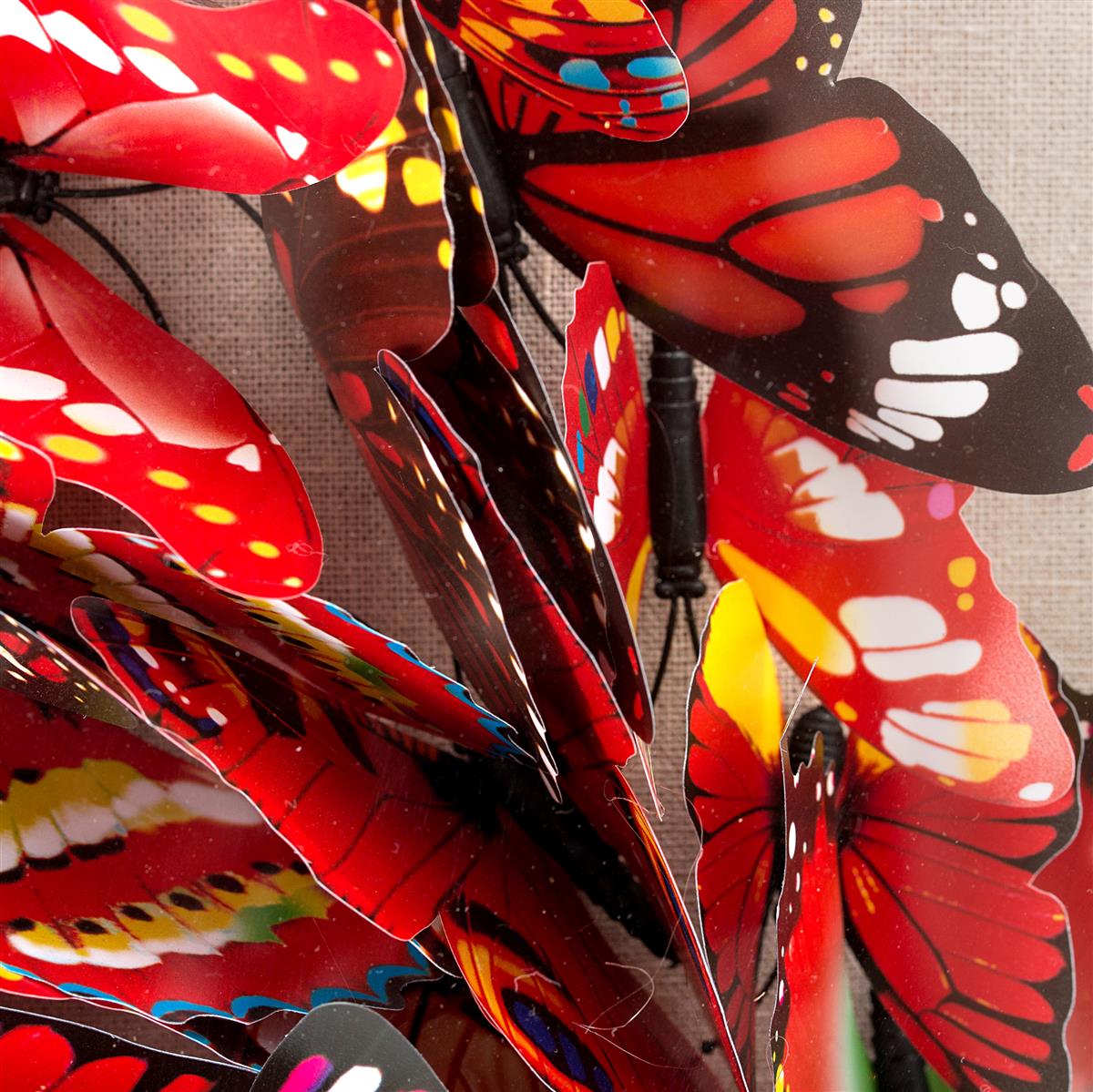 Papier Wandbild Schmetterling 80cm x 80cm