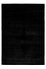200 x 290 cm