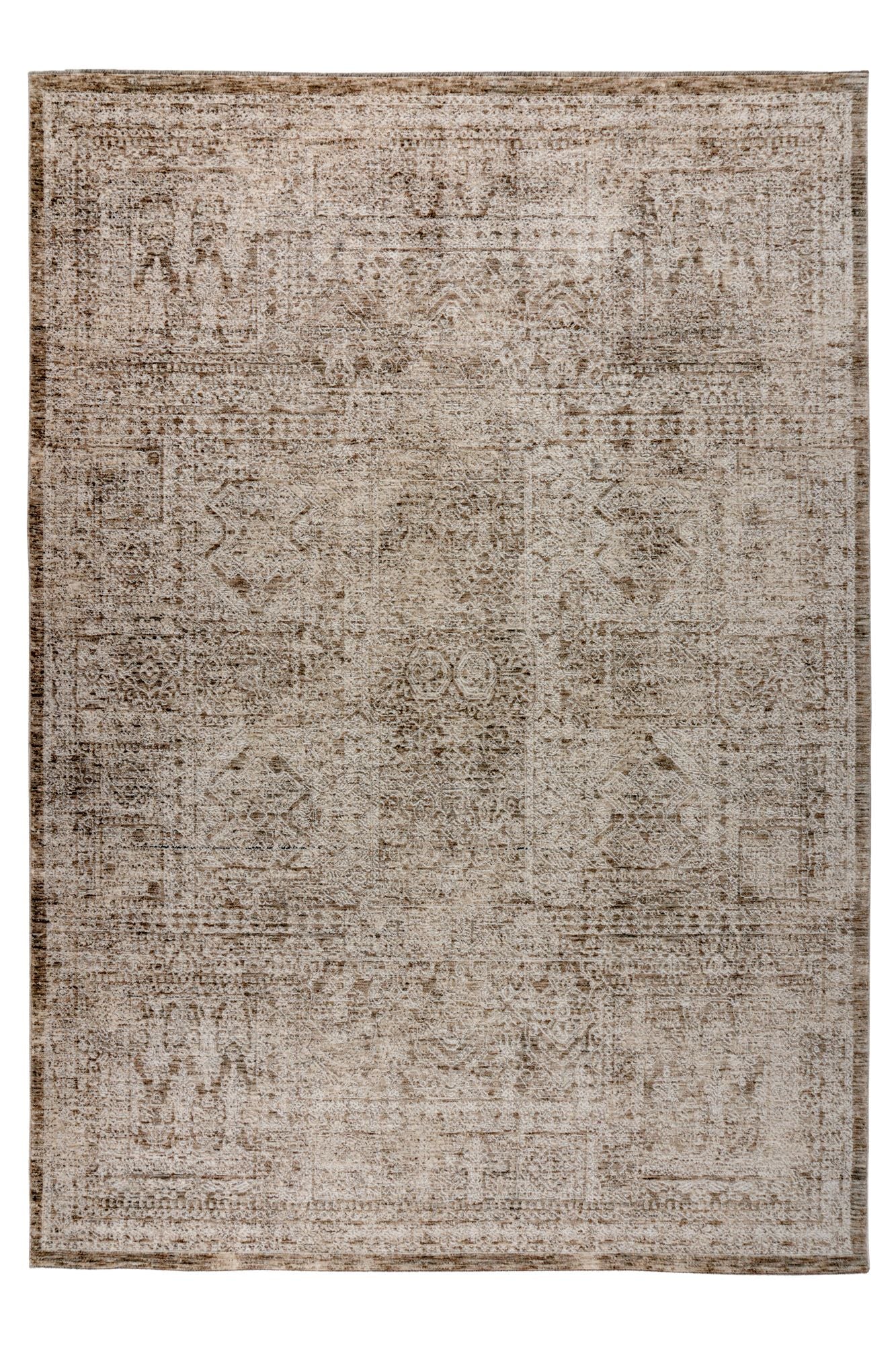 Amora 259