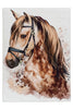 Brown Beauty / 120cm x 170cm